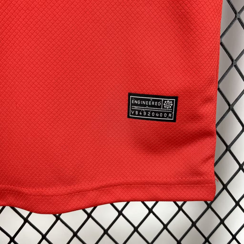 Brazil x Jordan 2025 Red Concept Jersey
