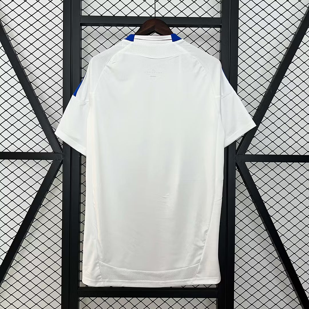 Camisola principal do Lyon 2010