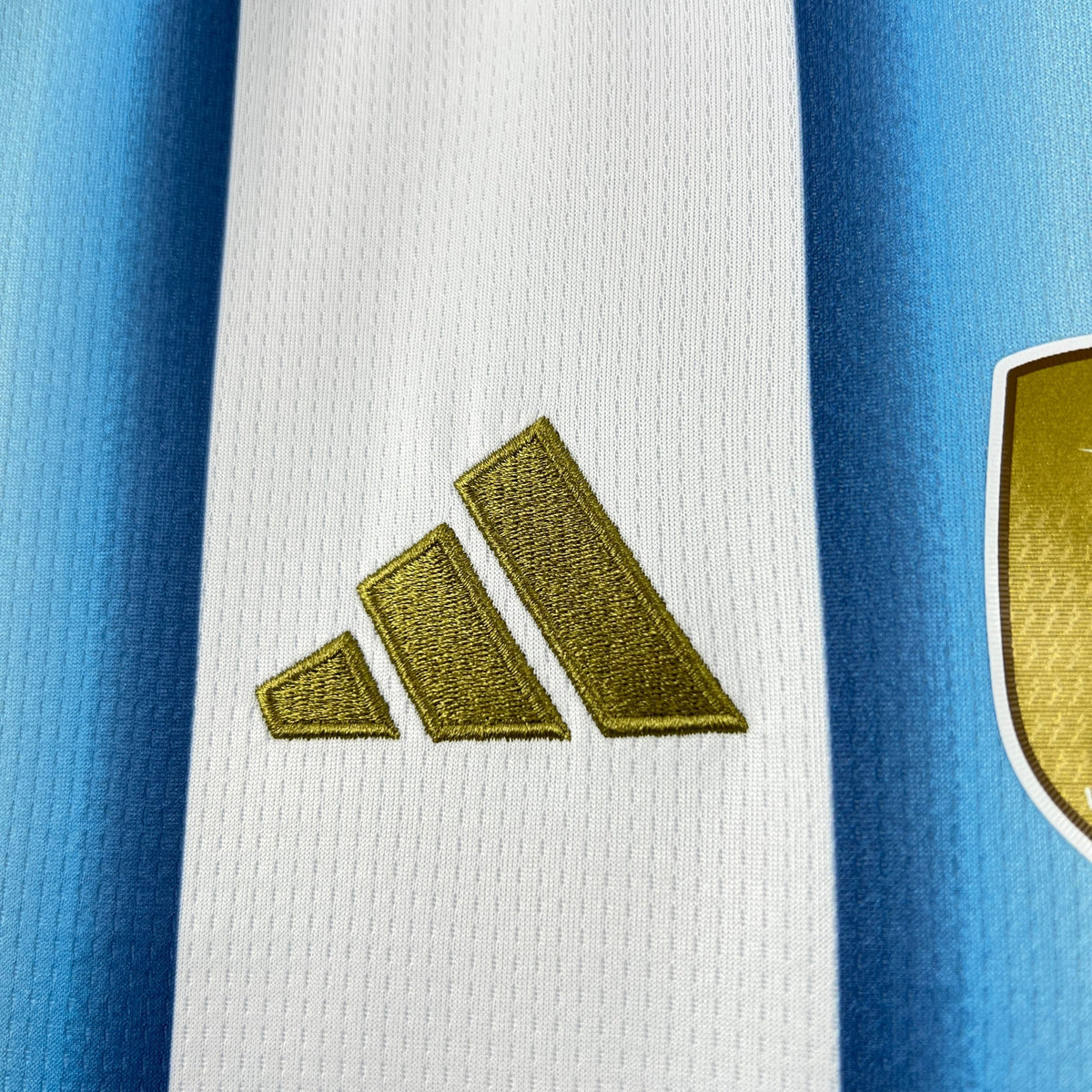 Argentina 2026 Womens Home jersey