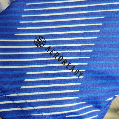 Japan 2023 spezielles Sterntrikot