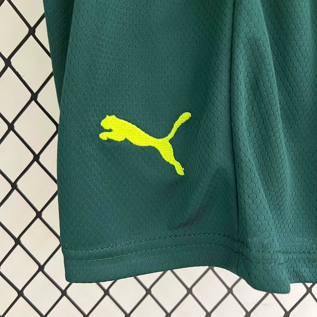 Trzecia koszulka Palmeiras 2023