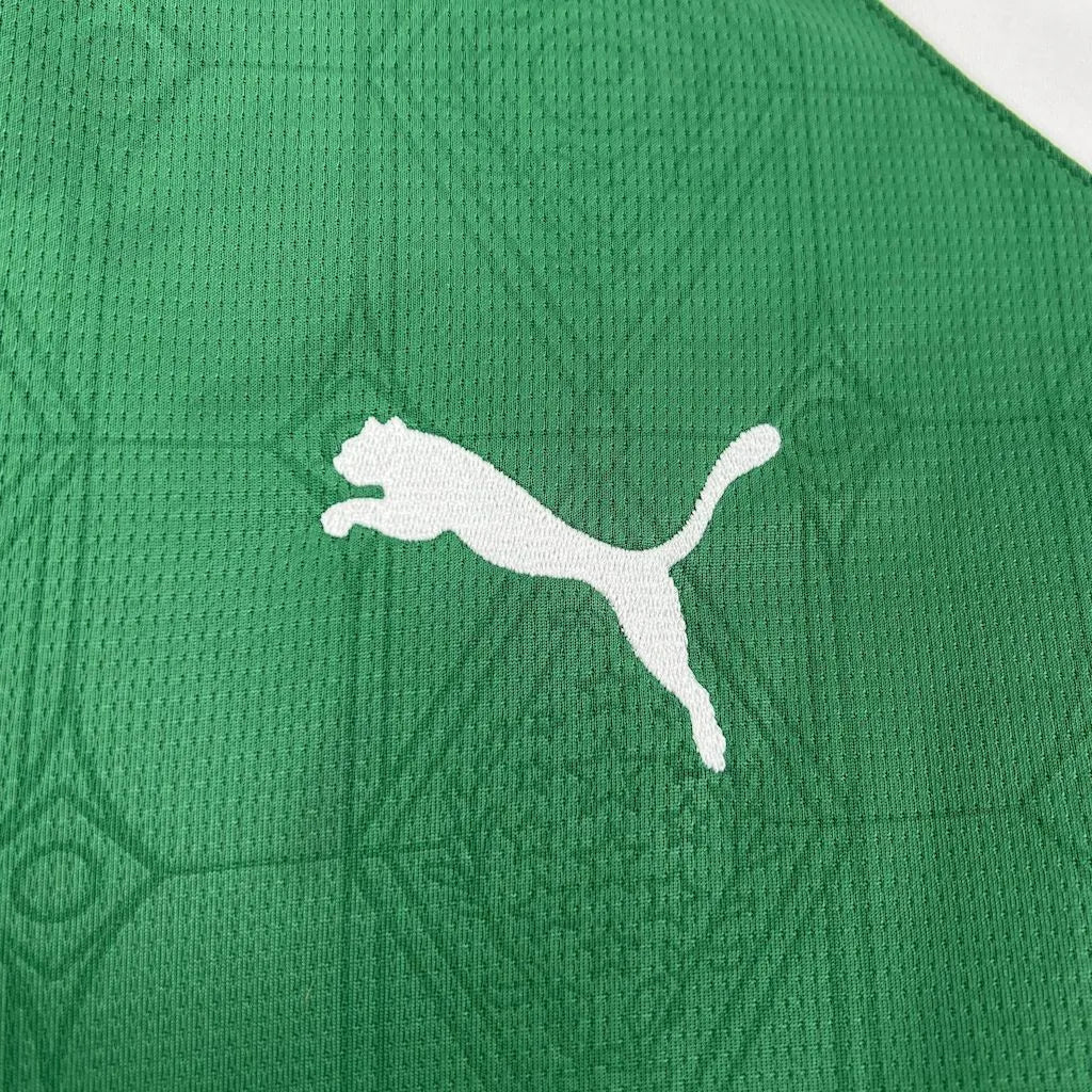 Palmeiras 2025 Home Jersey