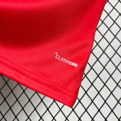 Maillot domicile du pays de Galles pour la Coupe du monde 2026